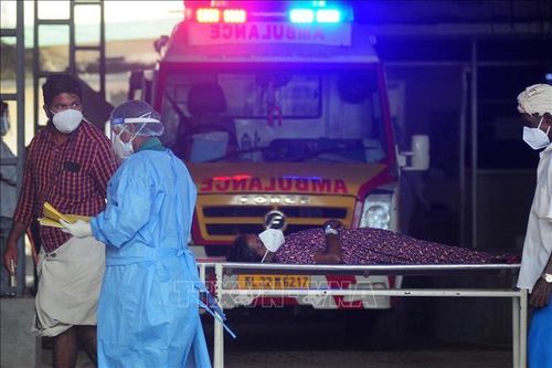 Ấn Độ: Bang Kerala ghi nhận 2 ca nhiễm virus Nipah mới