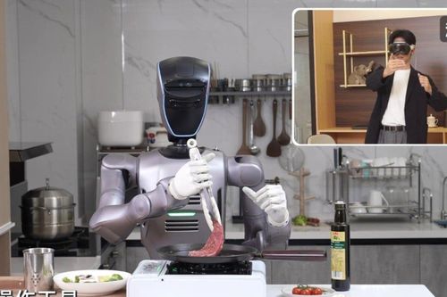 Robot hình người của Trung Quốc làm bít tết, rắc muối nhờ công nghệ thực tế ảo