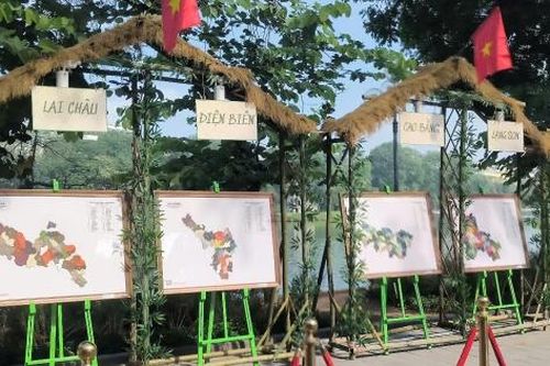 Triển lãm tranh da 'Về chung một nhà'
