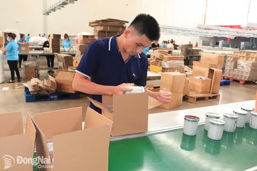 Nhiều cơ hội mở rộng xuất khẩu và tăng xuất siêu