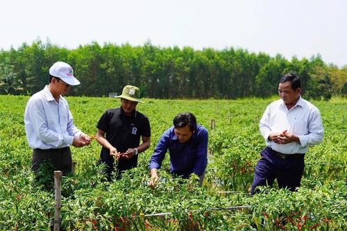 Gia Lai: Các xã phường khẩn trương bắt tay thực hiện nhiệm vụ phát triển kinh tế-xã hội