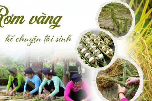 Rơm vàng kể chuyện tái sinh
