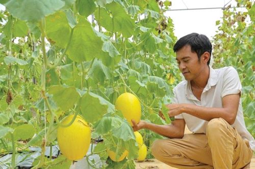 Khẳng định vị thế số 1 về nông nghiệp công nghệ cao