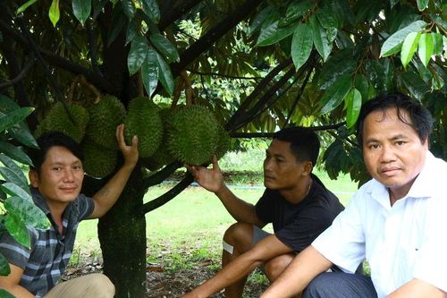 Ấm no dưới tán rừng Cát Tiên
