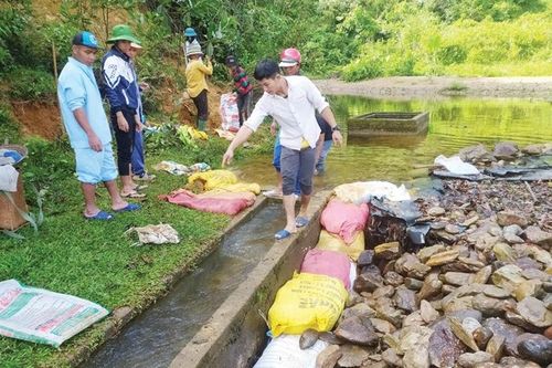 Nâng cấp thủy lợi sau đợt mưa lũ bất thường