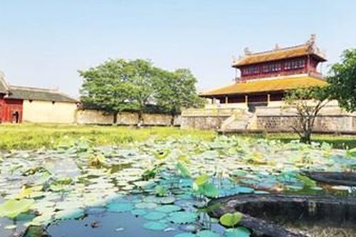 Chờ những 'mạch sống xanh' của Kinh thành Huế hồi sinh