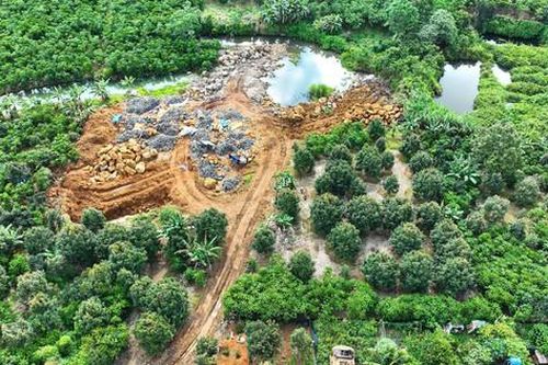 Giao công an kiểm tra, xử lý vụ khai thác đá trái phép trong rẫy cà phê ở Lâm Đồng