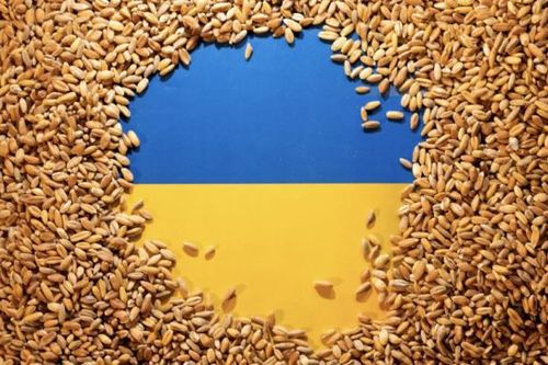 EU siết nhập khẩu, cắt tới 80% lượng lúa mì và đường từ Ukraine
