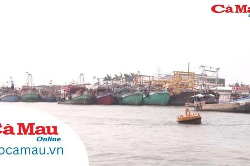 Người dân xã Sông Đốc chủ động ứng phó thiên tai