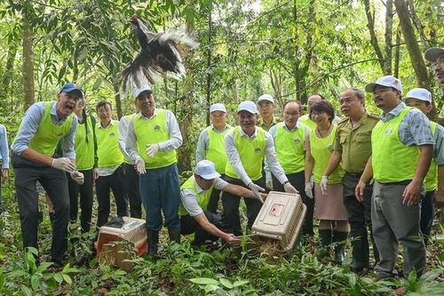 Khu rừng 'hồi sinh' nhiều loài động vật quý hiếm