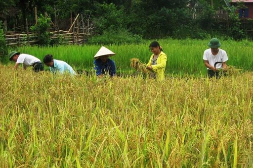 Trao Giấy chứng nhận quyền sử dụng đất cho đồng bào Đan Lai vùng lõi Pù Mát