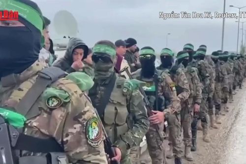 Lực lượng Hamas phản hồi 'tích cực' với đề xuất ngừng bắn tại Dải Gaza
