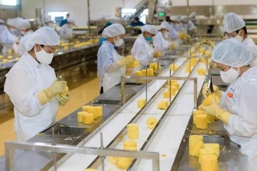 Xây dựng vùng nguyên liệu đạt chuẩn xuất khẩu