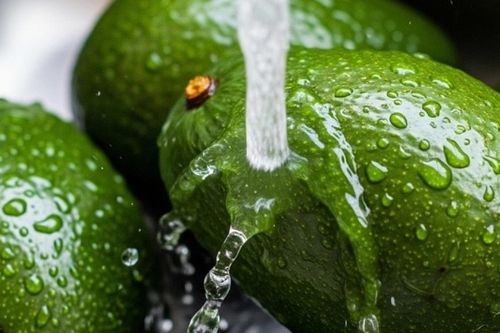 Cách bảo quản quả bơ tươi lâu, kéo dài thời gian sử dụng