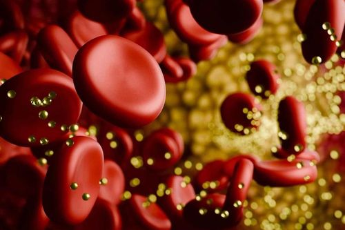'Công tắc tắt' cholesterol