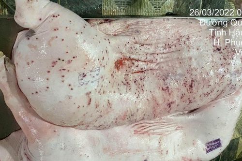 Kết quả bất ngờ vụ tố cáo thịt heo C.P. Việt Nam; TPHCM muốn lập Tập đoàn Sài Gòn