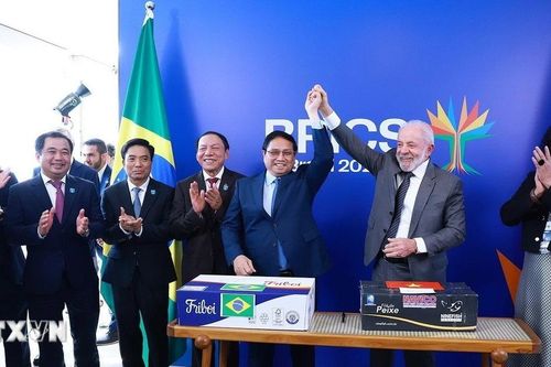'Quan hệ Việt Nam-Brazil trở thành biểu tượng sống động của hợp tác Nam-Nam'