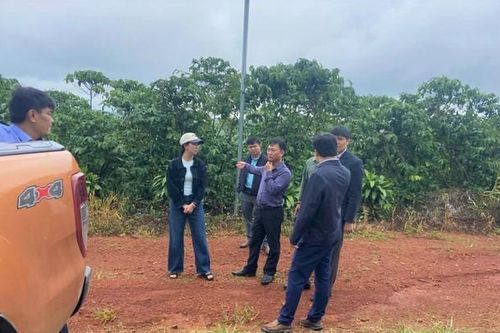 Vụ hơn 5,5 ha cà phê chết cành, rụng quả bất thường ở Lâm Đồng: Cơ quan chức năng lấy mẫu phân bón đi phân tích