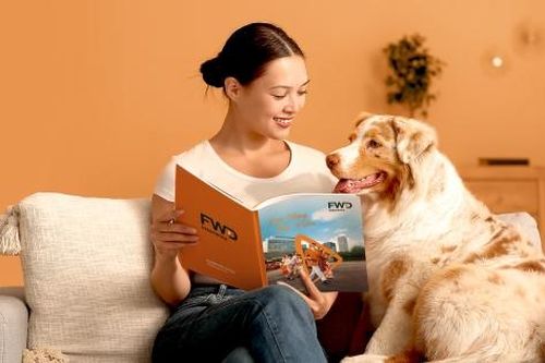 Hợp đồng bảo hiểm thời đại mới: FWD biến tài liệu pháp lý thành trải nghiệm gần gũi