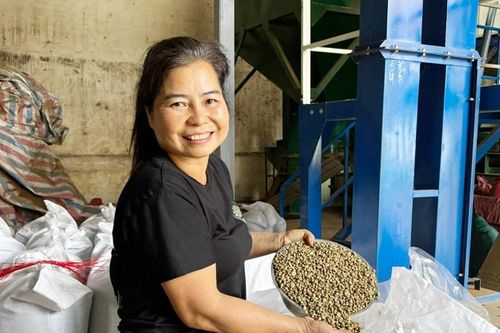 Like Farm kể chuyện cà phê xuất khẩu
