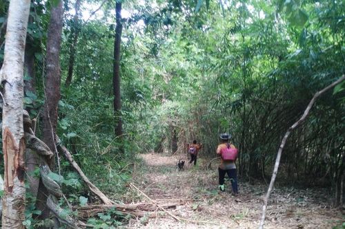 Đi rừng sợ nhất 'bà hỏa'