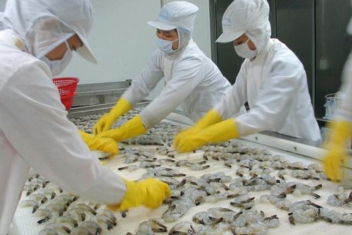 Thực phẩm Sao Ta (FMC): Doanh thu nửa đầu năm tăng 43%, giá thành sẽ giảm trong thời gian tới