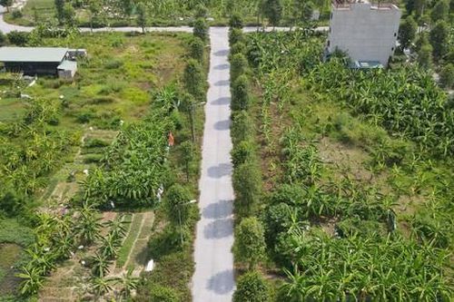 Gấp rút điều chỉnh quy hoạch đất sau sáp nhập