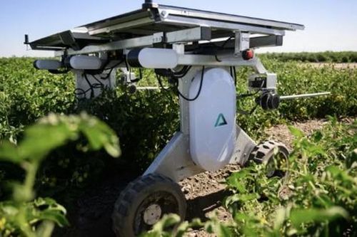 Robot AI thay thế người diệt cỏ và làm nông nghiệp