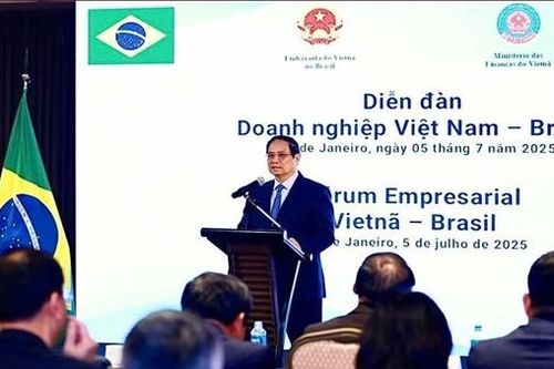 Đối tác Chiến lược Việt Nam-Brazil: 'Quan hệ kinh tế luôn là trụ cột quan trọng'