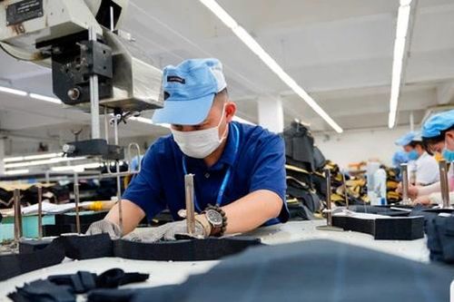 Doanh nghiệp thành lập mới tháng 6 cao kỷ lục