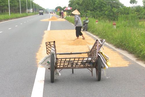 Mất an toàn giao thông vì thói quen phơi nông sản trên đường