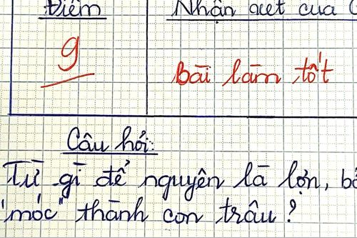 Từ Tiếng Việt nào để nguyên là lợn, bỏ 'móc' thành con trâu?