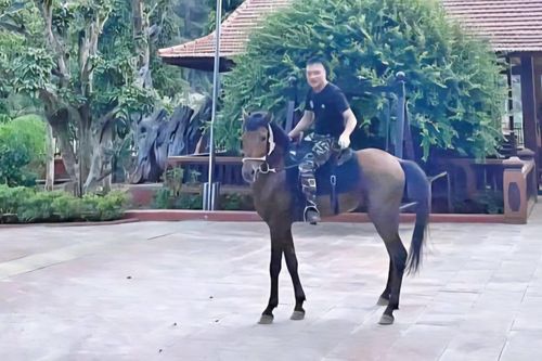 Vi 'ngộ' – từ kẻ có bệnh án tâm thần đến ông trùm thế giới ngầm