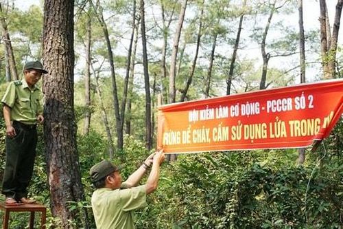 Tăng cường thực hiện công tác quản lý bảo vệ rừng, phòng cháy, chữa cháy rừng