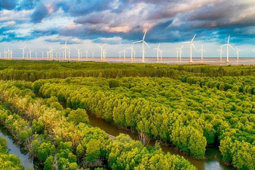 Cà Mau hướng đến xuất khẩu điện sang Singapore