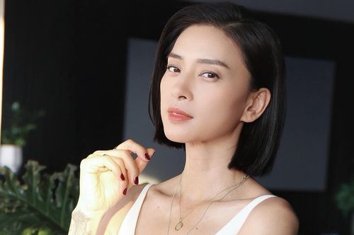Thành bại của Ngô Thanh Vân