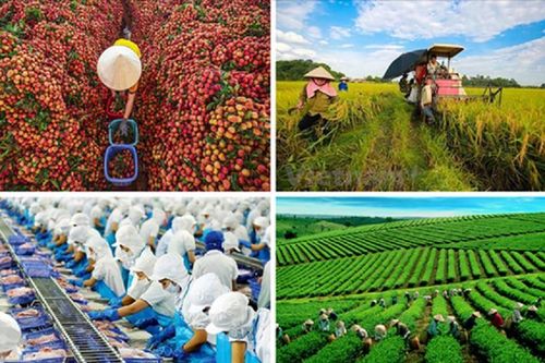 21 lĩnh vực giám định tư pháp trong nông nghiệp và môi trường