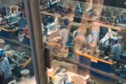 Doanh nghiệp, nhà khoa học còn thờ ơ với bảo hộ sở hữu trí tuệ