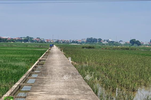 'Ai ơi chớ bỏ ruộng hoang!'
