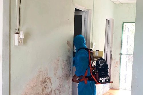 TP Huế có 12 người mắc liên cầu lợn, 1 người tử vong
