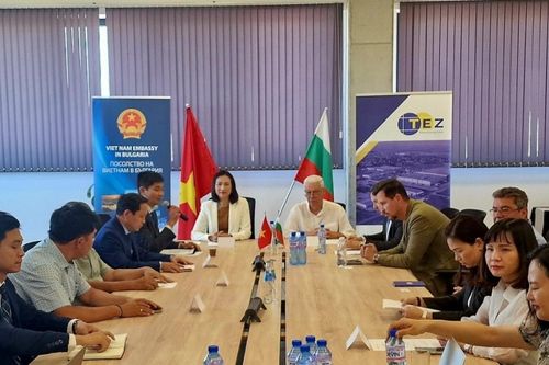 Doanh nghiệp Việt Nam tìm hiểu, kết nối với đối tác ở thành phố Plovdiv, Bulgaria