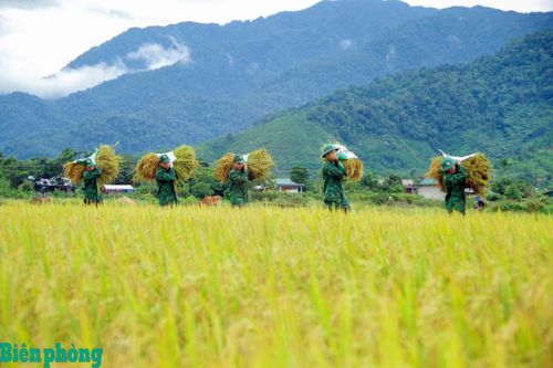 Người lính quân hàm xanh giúp đồng bào khu vực biên giới xóa đói giảm nghèo