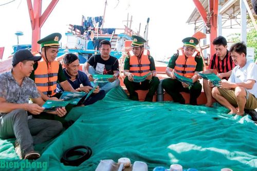 Quyết tâm gỡ 'thẻ vàng' IUU ở Vĩnh Long