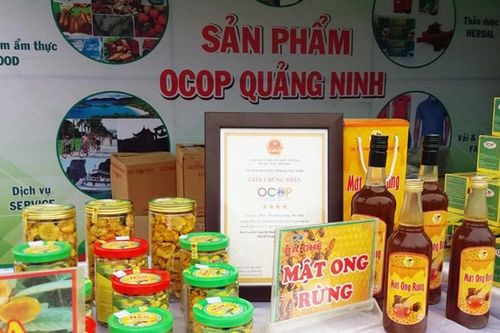 Chủ tịch UBND tỉnh phê duyệt, chứng nhận cho các sản phẩm OCOP đạt 3 sao, 4 sao