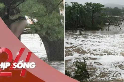 NHỊP SỐNG 24: Bị lũ quét cuốn trôi 32km, cô gái sống sót kỳ diệu nhờ bám được vào cây