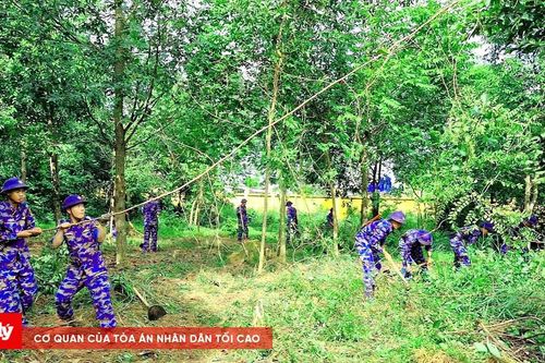 Vùng 2 Hải quân: Sôi nổi hoạt động tình nguyện hè 2025