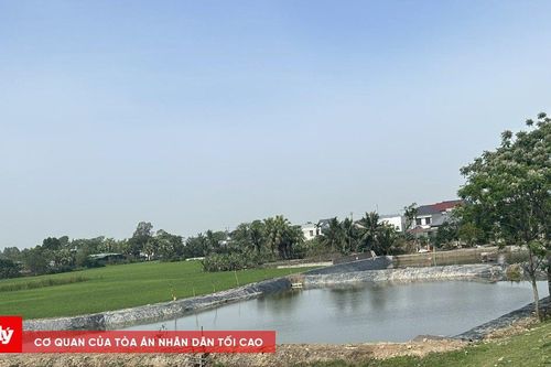 Hệ lụy của nuôi tôm tự phát