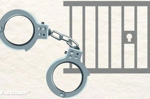 Truy tố Giám đốc Công ty may Hòa Bình lừa đảo đối tác, chiếm đoạt tài sản