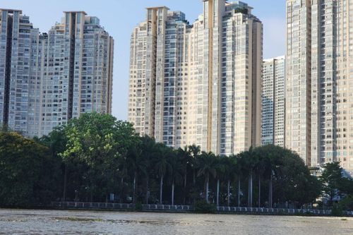 Lực cầu mua nhà cao, nhà đầu tư không vội