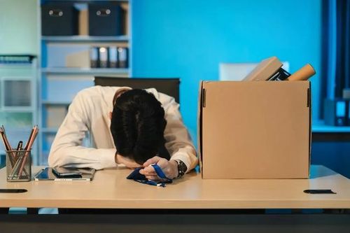 Cách AI sẽ định hình lại tương lai việc làm